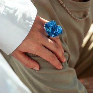 Anillo5