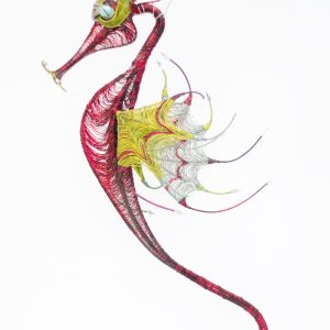 Caballito de mar